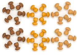 Grapat Mandala en bois brun champignon (36 pcs.)