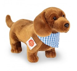 Chiens