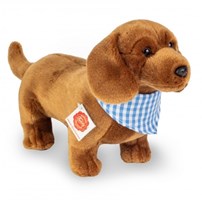 Chiens