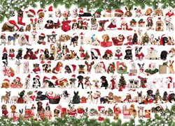 Puzzle Eurographics Chiens de vacances - 1000 pièces