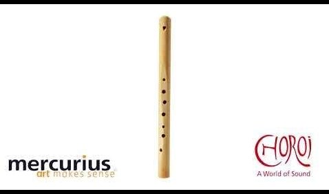 Choroi flûte à bec Octa diatonique flûte en do 8+1 trous 440 Hz bois