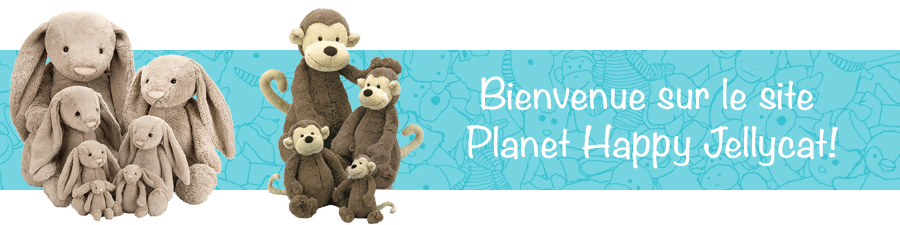 CMS - FR - 1 - Intro banner