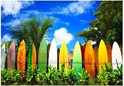 Eurographics puzzle Surfer's Paradise Hawaii - 1000 pièces