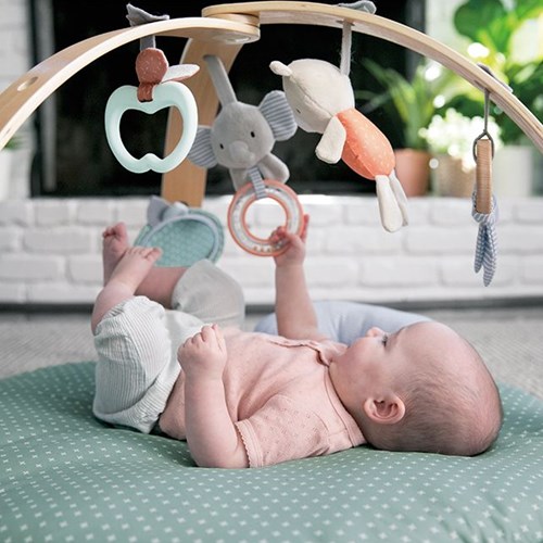 Ingenuity tapis d'éveil bébé - Cozy Spot Loamy - réversible et doux-2