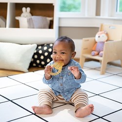 Ingenuity anneau de dentition bébé Cool Bite Water Teether Bomby multicolore sans BPA