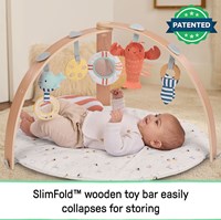Ingenuity tapis d'éveil bébé Cozy Spot réversible haven-3