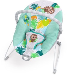 Bright Starts transat bébé Wild Wonders avec vibration confort