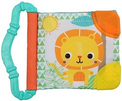 Bright Starts livre de dentition bébé vert menthe - jouet en silicone dès 3 mois