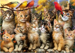 Educa puzzle chatons et oiseaux 500 pièces puzzle animaux