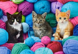 Castorland puzzle chats Kittens in a Yarn Store - 1000 pièces