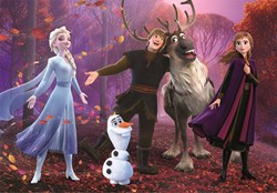 Clementoni puzzle La Reine des Neiges - 104 pièces - puzzle enfant carton
