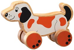 Lanka Kade Push Along - Chien