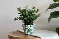 Little Creations kit DIY mosaïque - Pots de fleurs verts 2 pièces adultes