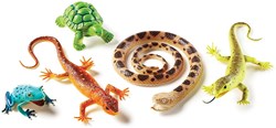 Learning Resources jouets - Set jumbo reptiles et amphibiens
