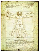 Eurographics puzzle art L'Homme de Vitruve 1000 pièces carton