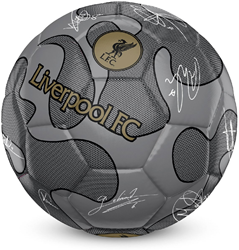 Team Merchandise ballon de football Liverpool FC 32 panneaux camo taille 5 argent