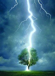 Puzzle Eurographics L'arbre qui frappe - 1000 pièces