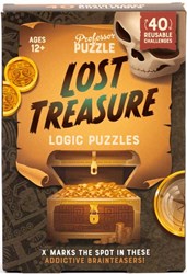 Professor Puzzle casse-têtes logiques Lost Treasure - jeu éducatif aventure