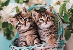 Clementoni puzzle Lovely Kitty Twins - 60 pièces - carton - puzzle enfant