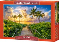 Castorland puzzle Miami USA - paysage 3000 pièces-2
