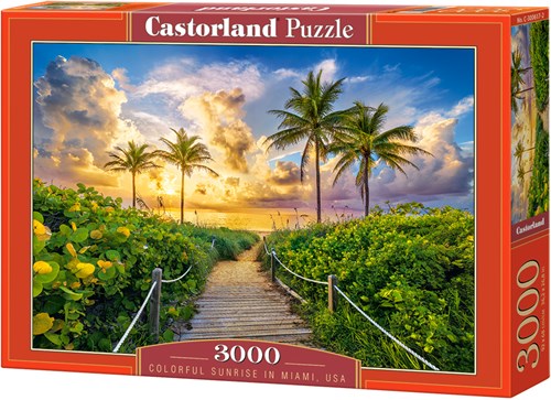 Castorland puzzle Miami USA - paysage 3000 pièces-2