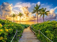 Castorland puzzle Miami USA - paysage 3000 pièces