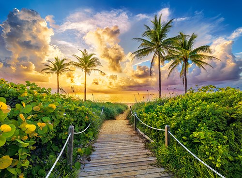 Castorland puzzle Miami USA - paysage 3000 pièces