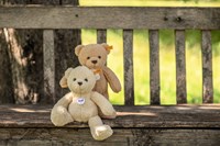 Steiff ours en peluche Mila doudou beige 30 cm - jouet doux-3