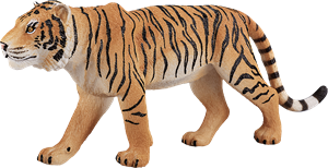 Animaux du safari