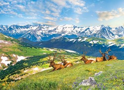 Eurographics puzzle animaux Bergelche - 1000 pièces en carton