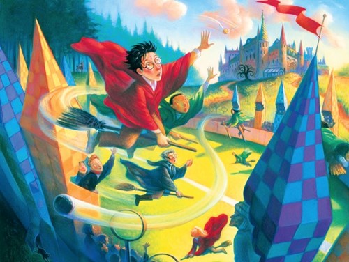 New York Puzzle Company Harry Potter puzzle Quidditch 1000 pièces carton