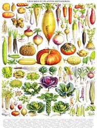 New York Puzzle Company puzzle légumes illustration vintage 1000 pièces