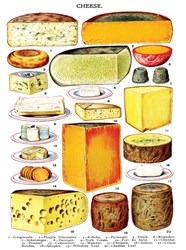 New York Puzzle Company puzzle fromage pièces XXL - 500 pièces