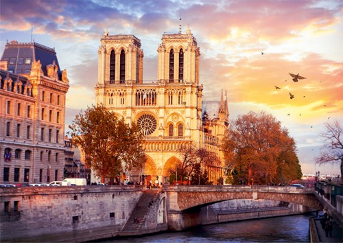 Roovi Notre Dame Paris, Frankreich - 500 Teile