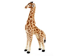 Girafes
