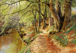D-Toys puzzle art Peder Mørk Mønsted 1000 pièces forêt de printemps