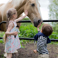 Lottie Pony Pals-3