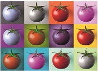 Dino puzzle Pop Art Tomates 1000 pièces adultes enfants