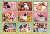 Clementoni puzzle chiots collage - 180 pièces - puzzle animaux enfants