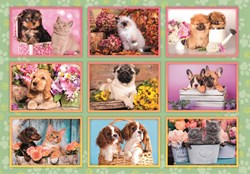 Clementoni puzzle chiots collage - 180 pièces - puzzle animaux enfants
