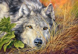 Castorland puzzle Pure Soul - 500 pièces animaux carton