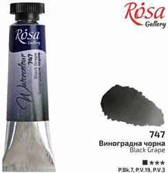 Rosa Gallery Rosa Gallery Aquarelverf Tube 10 ml Druiven Zwart