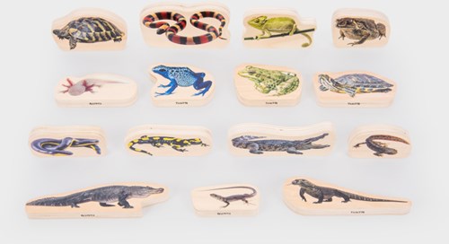 tickit Wooden Reptile & Amphibian Blocks - Pk15