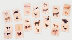 TickiT jeu de mémoire en bois familles d'animaux - jouet éducatif