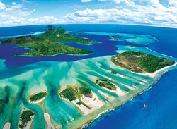 Puzzle Eurographics Sauvez la planète ! Coral Reef - 1000 pièces