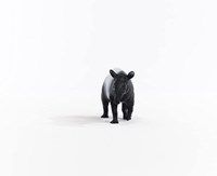 Schleich Wild Life Tapir - Figurine de jeu - Jouet pour enfants 14850-2