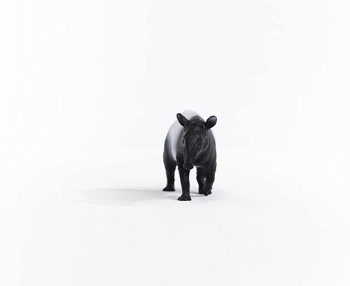 Schleich Wild Life Tapir - Figurine de jeu - Jouet pour enfants 14850-2