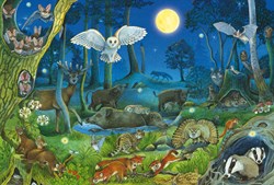 Schmidt puzzle animaux forêt nuit 100 pièces puzzle enfants