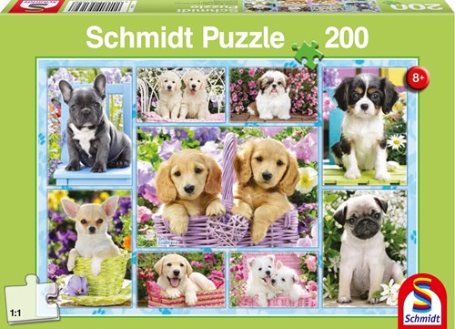 Schmidt puzzle Chiots - 200 pièces - Jeu pour enfants - 8+ ans-2