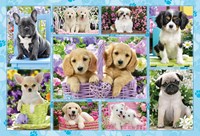 Schmidt puzzle Chiots - 200 pièces - Jeu pour enfants - 8+ ans